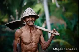 让你瞧不起的小农经济，却因为这次疫情，让14亿人逃过一劫！图片