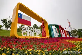 泸州欢迎您，我为泸州第16届中国国际酒业博览会助威图片
