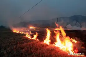 秸秆燃烧屡禁不止，为何秸秆燃烧再次被推上风口浪尖？图片