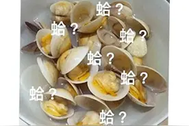 37年的老游戏搞出了个船新版本，好评高达96%！玩家：燃起来了图片