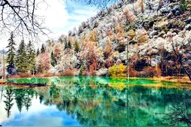 半山彩林半山雪！图片