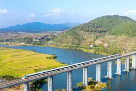 走进海南环岛高铁！最美铁路编织最美大湾区图片