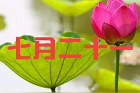 明天七月二十一，俗语“收不收，就看七月二十一”，啥意思？图片