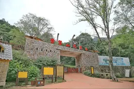 武汉云雾山有一处恐龙基地，深受孩子喜爱，里面全是各种仿真恐龙图片