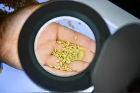 守护粮食，从守护农业的“芯片”开始图片