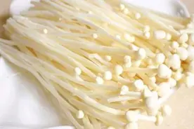 金针菇，肉质脆嫩，味道鲜美，人工栽培要注意什么？图片