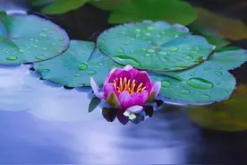 独处是一个人的清欢，享受自由的美妙，让心灵飞扬图片
