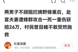 他人摘蜂巢后，夫妻遭蜂群攻击一死一重伤。这样的案子，我也遇到图片