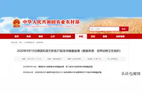 德国“非瘟”又席卷，无抗＋防非，现在着手养猪只亏不赚？图片