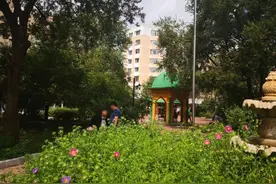 哈市老旧小区改造｜以改造为契机 破解老旧小区物业管理“怪圈”图片