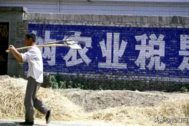 真正的农业税并不是很高，国家为什么要全面取消农业税？图片