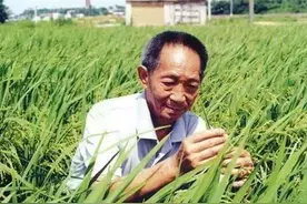 宠妻狂魔袁隆平，与他生活上的15件小事图片