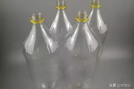 塑料瓶可是养花好容器，剪几刀变成“花盆”，能吊着养不少花图片