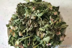 春季车前草正当季，看见别错过，一洗一晒再一泡，喝一杯好处多多图片