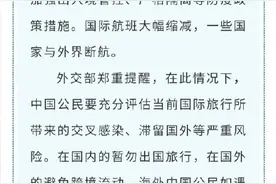 罕见！外交部提醒中国公民暂勿出国旅行图片