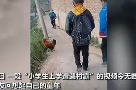 农村孩子上学遭遇公鸡拦路，网友：农村有三霸，都是童年的阴影图片