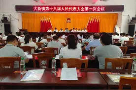 大新镇第十八届人民代表大会第一次会议召开图片