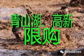 南昌青山湖和高新区限购楼盘都在这了，看看有没有你中意的图片