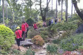 周末去东莞植物园游玩路太堵，何不坐1元小微巴图片