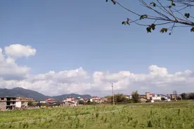 人老了，活着不如一条狗图片