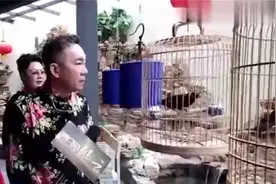 杨少华的豪华大宅，家里全是老物件，室内舞台和室外假山认真的吗图片