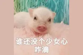 飞车:爱神首发！全新动作套装浪漫上线 天使魔王套装＆小白龙返场图片