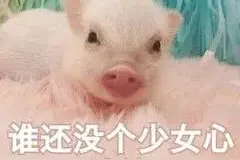 飞车:爱神首发！全新动作套装浪漫上线 天使魔王套装＆小白龙返场图片