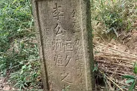 留我何用？留儿报仇图片