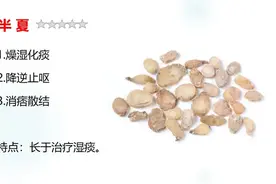 半夏：化痰第一药，学会用半夏就是高手图片
