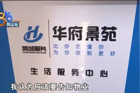 露台弄起小花园，楼下貂皮很受伤？图片
