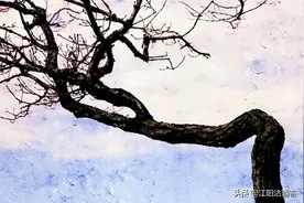 泸州有句老话，酒醉鬼连鬼都不敢惹，你知道为什么吗？图片