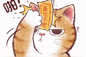 可爱的猫咪为你祈福，新的一年八张祈福符咒，前任暴毙是什么鬼？图片