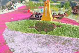 杜堡村：芝樱花开产业兴旺 村民的腰包更鼓了图片