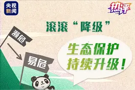 热评丨大熊猫“喜提降级”生态保护持续升级图片