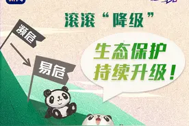 热评丨大熊猫“喜提降级”生态保护持续升级图片