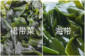 “裙带菜”和“海带”有啥区别？哪个营养更高？学会别再乱买了图片