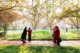 郫都花都开好了，只能你来~（附赏花攻略）图片