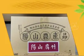 「掂叔看两会」助推乡村振兴，持续巩固脱贫成果图片