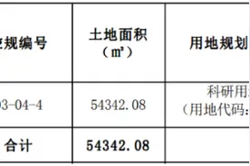 三亚挂牌出让2宗国有建设用地！竞买条件、用途→图片