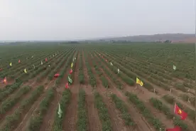 企业村民同心同行  增收致富动力足图片