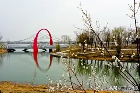 又是一年芳草绿，幸福花开满城春图片