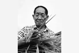 逝者袁隆平：人就像一颗种子，要做一颗好种子图片