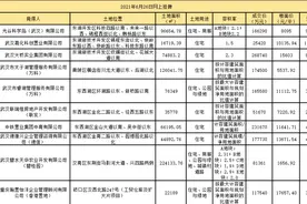 疯狂！武汉10宗地8宗溢价！花山、东西湖地王刷新图片