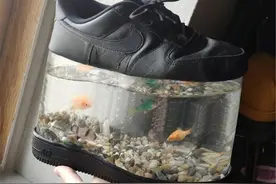 他把球鞋拆了，只为养鱼？看这透明“外增高”，感觉NIKE穿不出去图片