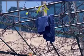 消防员衣服卡住了？安排！图片
