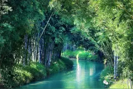 醉美“花果山”，地道“美食乡”，这个春天来从化吕田“打卡”吧！​图片