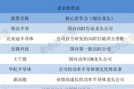 碳中和最受益的功率半导体，盘点六大黑马龙头公司图片