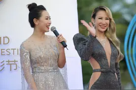 海南岛国际电影节红毯：李玟妖娆，张信哲脸肿，李纯高贵马丽沧桑图片