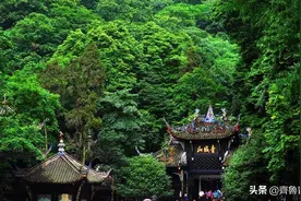 徐少华：剧务李成儒神通广大，人参果是凉薯做的图片