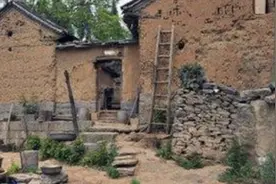 5岁孩子独自生活，吃了半个月没菜自煮饭他可怜愿望让人落泪图片